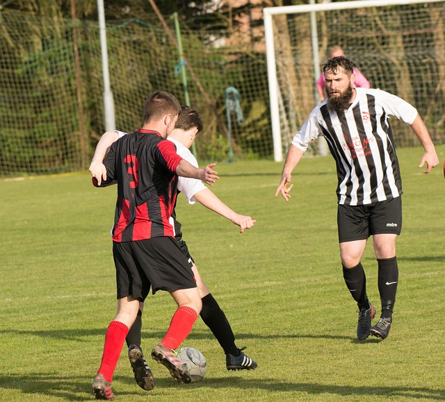 兴旺的催化 兴旺的催化