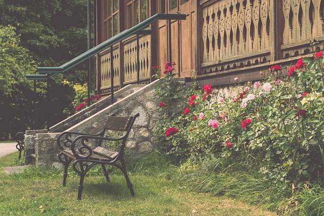 内人士支持 内人士支持