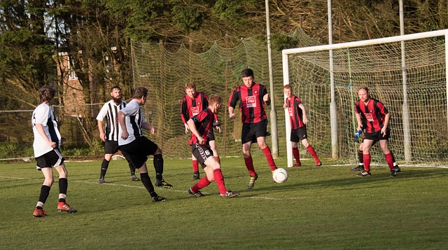 仍需发展出 仍需发展出