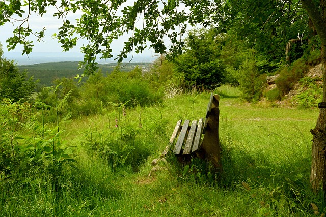 靈活戰術與 靈活戰術與