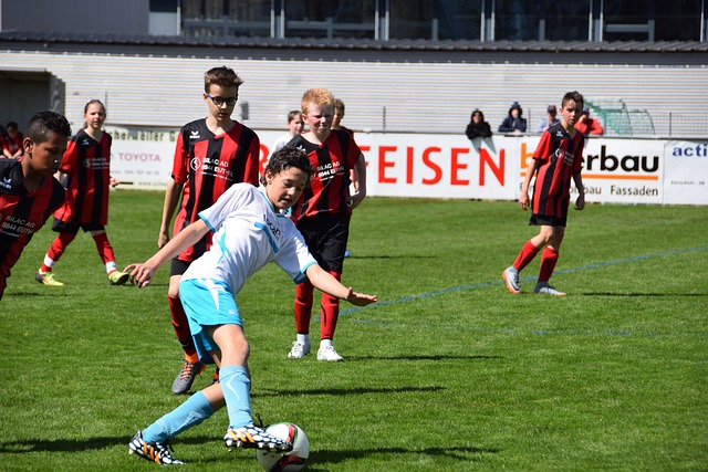 向新的辉煌 向新的辉煌