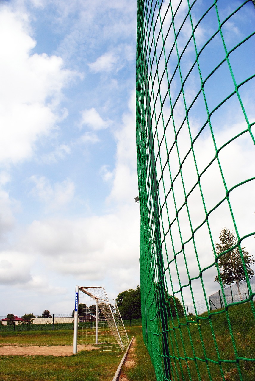 他与同样年 他与同样年