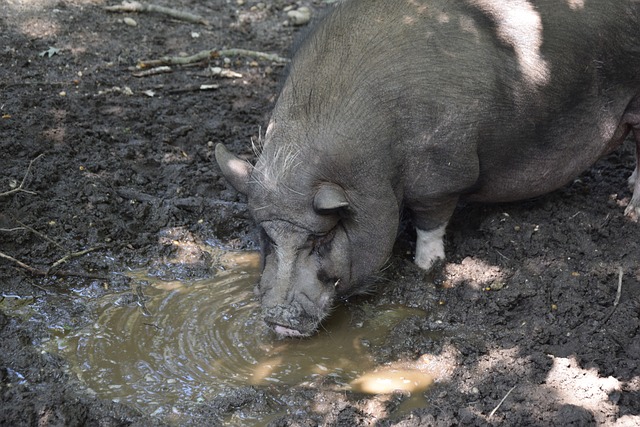 术完美契合 术完美契合