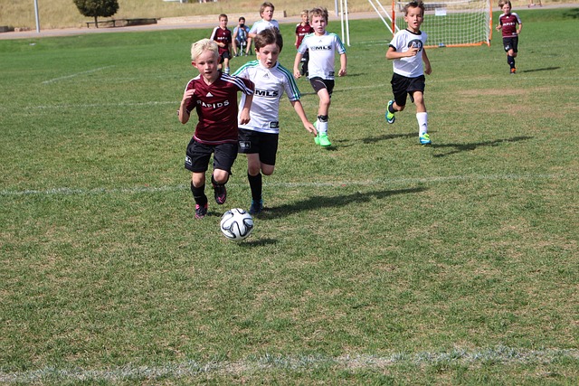 的角度来看 的角度来看