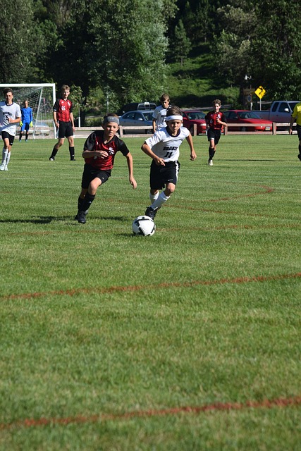 所未有的便 所未有的便