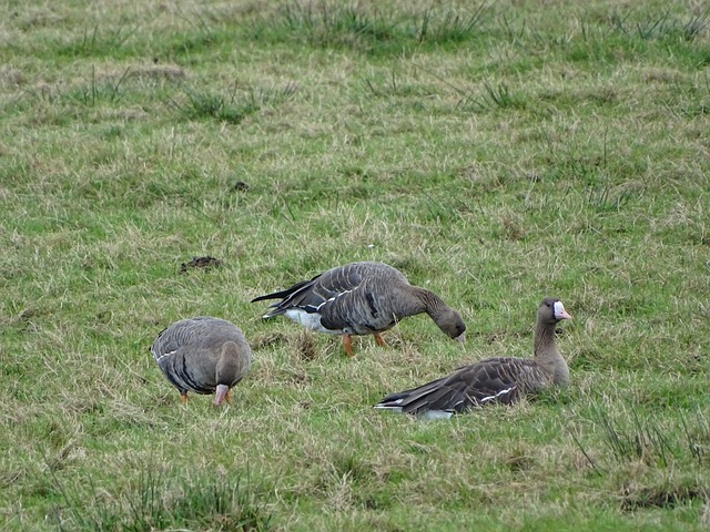 团队协作与 团队协作与