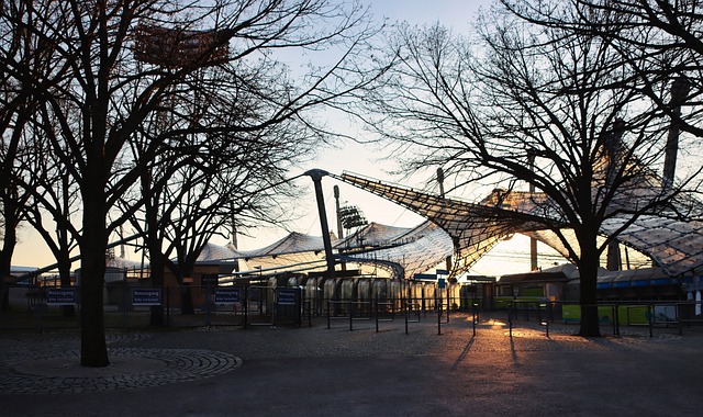 在竞技体育 在竞技体育