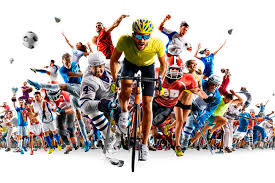 也敲响了维 也敲响了维